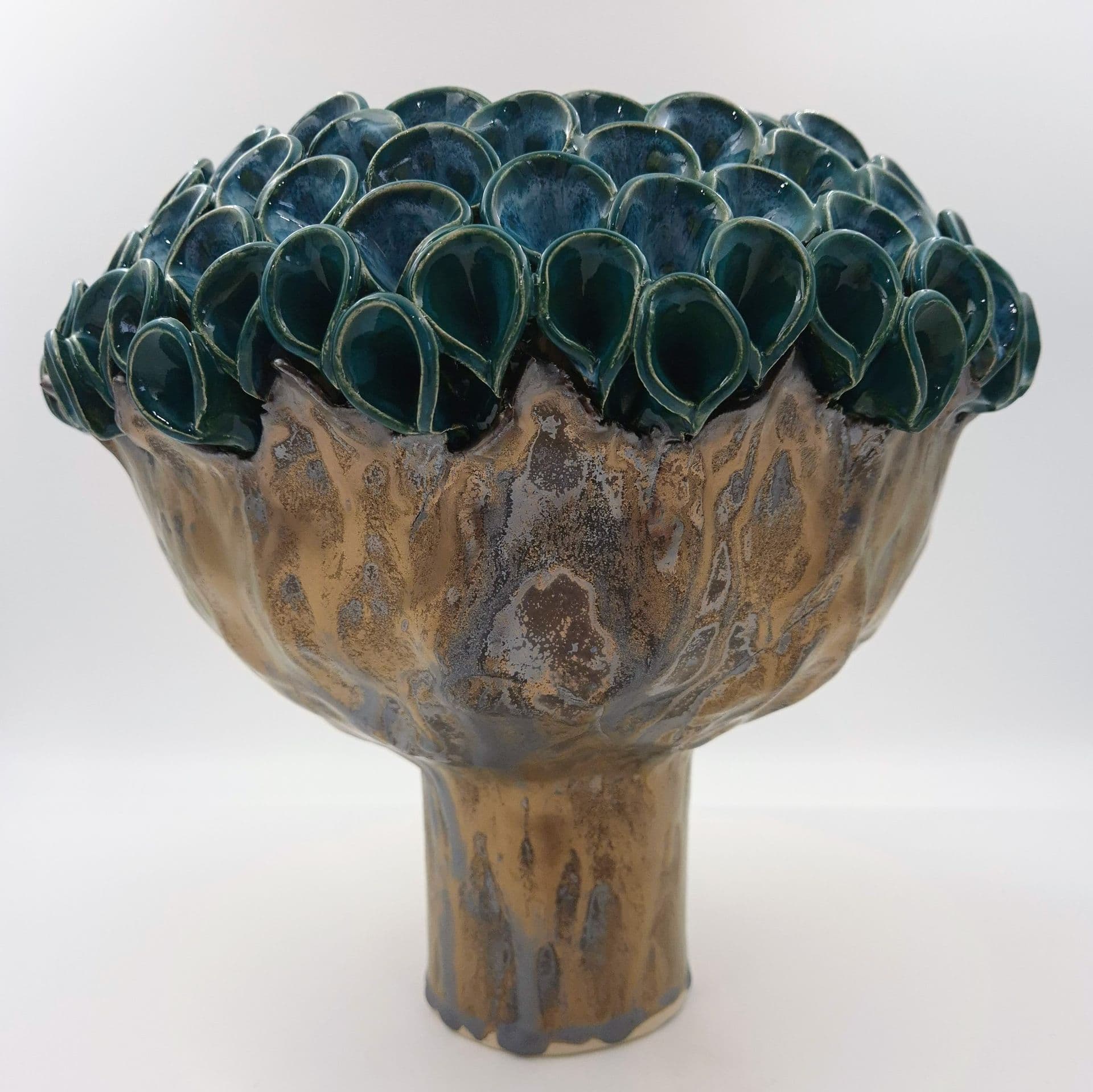 Hortensia knop - medie 1