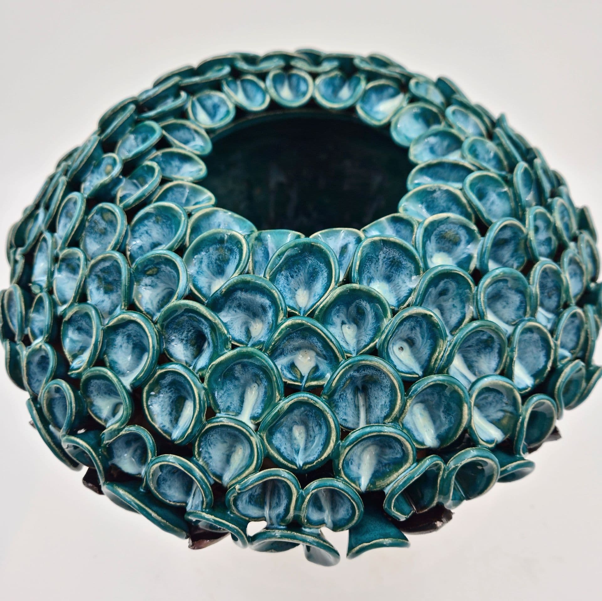 Hortensia knop - medie 2