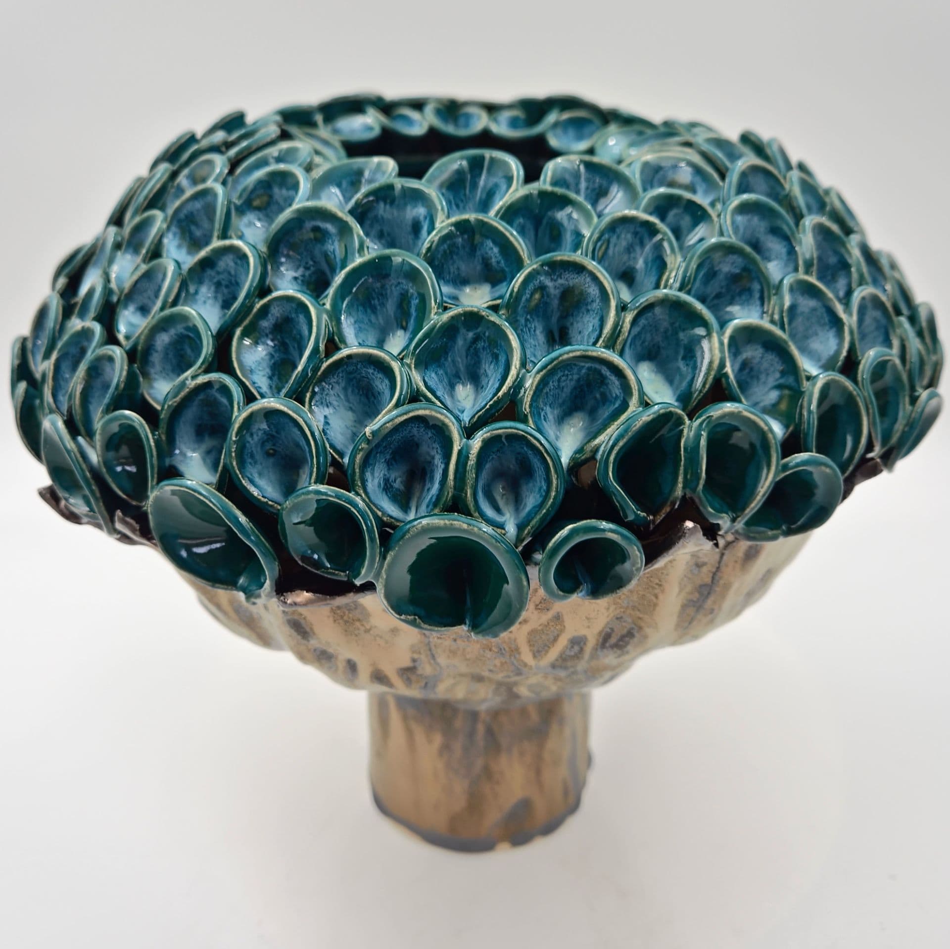 Hortensia knop - medie 3