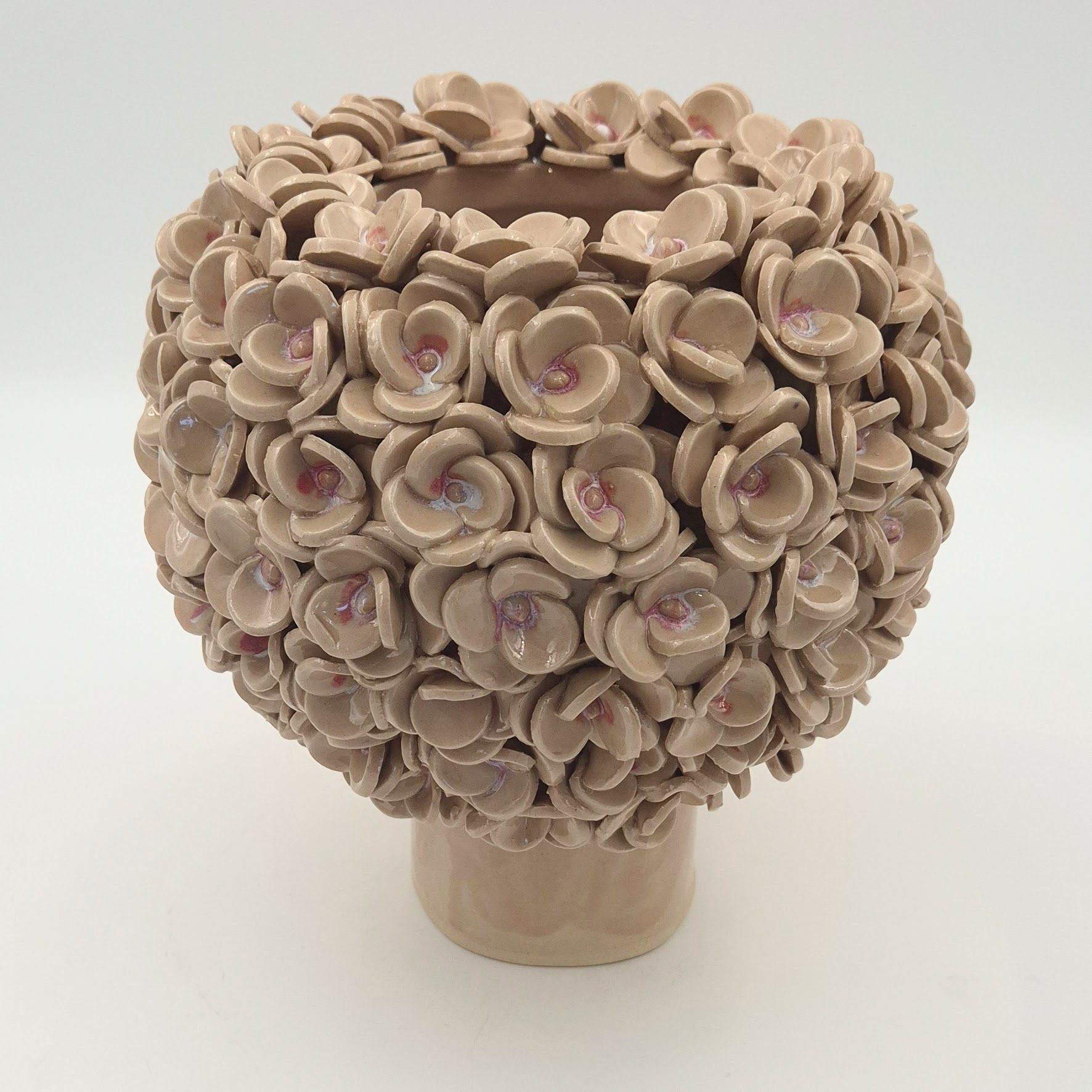 Hortensia - svag rosa